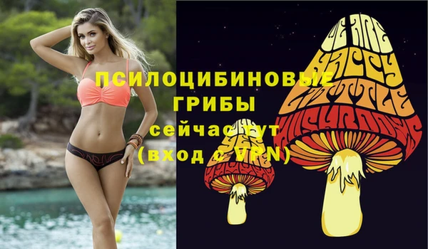 кристаллы Лагань