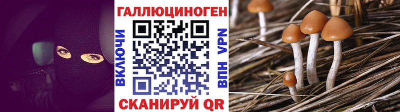 Псилоцибиновые грибы Magic Shrooms Купить где Нижневартовск